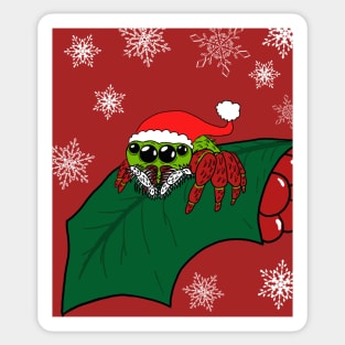 Christmas Jumping Spider Sticker